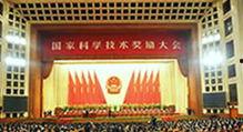 彩乐乐走势图大全,揭秘中奖密码